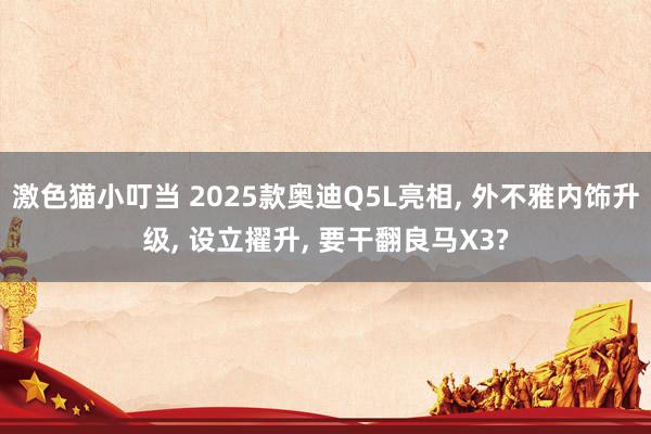 激色猫小叮当 2025款奥迪Q5L亮相， 外不雅内饰升级， 设立擢升， 要干翻良马X3?