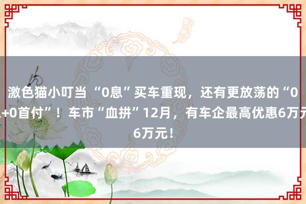 激色猫小叮当 “0息”买车重现，还有更放荡的“0息+0首付”！车市“血拼”12月，有车企最高优惠6万元！