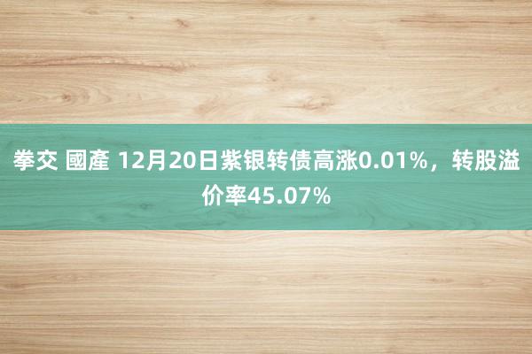 拳交 國產 12月20日紫银转债高涨0.01%，转股溢价率45.07%