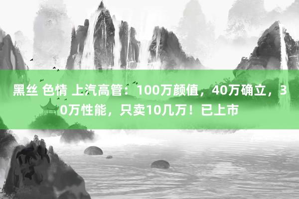 黑丝 色情 上汽高管：100万颜值，40万确立，30万性能，只卖10几万！已上市