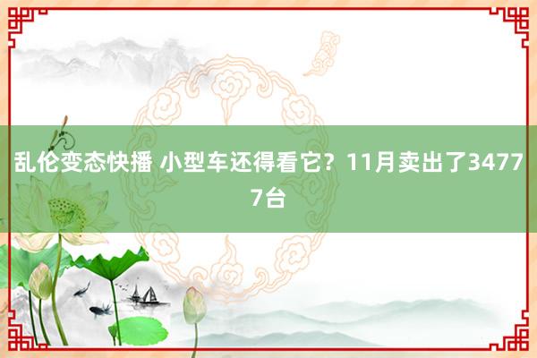 乱伦变态快播 小型车还得看它？11月卖出了34777台