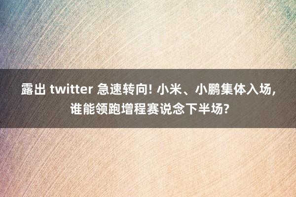 露出 twitter 急速转向! 小米、小鹏集体入场， 谁能领跑增程赛说念下半场?