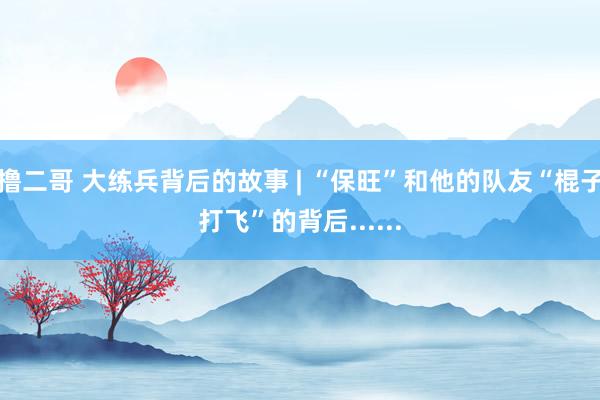 撸二哥 大练兵背后的故事 | “保旺”和他的队友“棍子打飞”的背后......