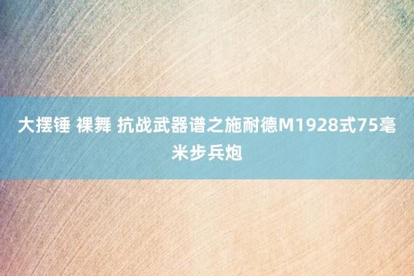 大摆锤 裸舞 抗战武器谱之施耐德M1928式75毫米步兵炮