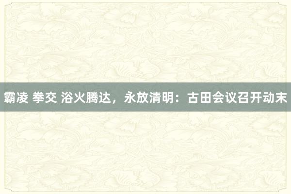 霸凌 拳交 浴火腾达，永放清明：古田会议召开动末