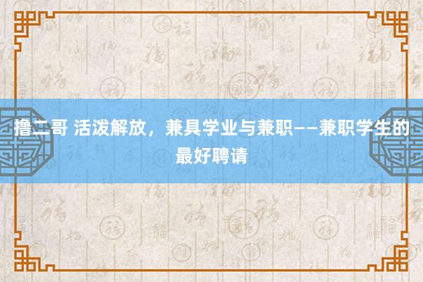 撸二哥 活泼解放，兼具学业与兼职——兼职学生的最好聘请