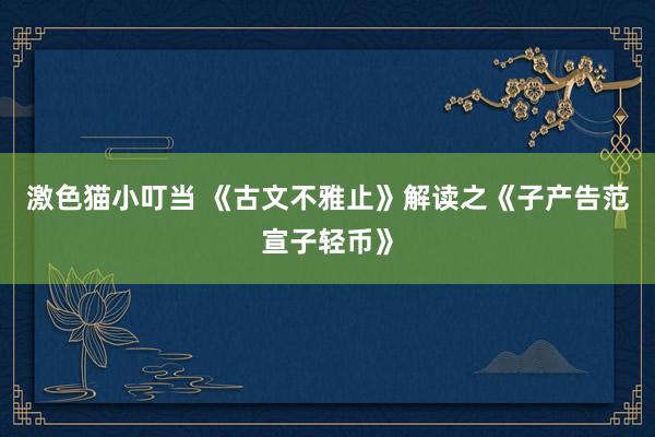 激色猫小叮当 《古文不雅止》解读之《子产告范宣子轻币》