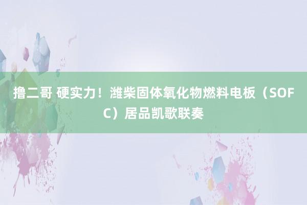 撸二哥 硬实力！潍柴固体氧化物燃料电板（SOFC）居品凯歌联奏