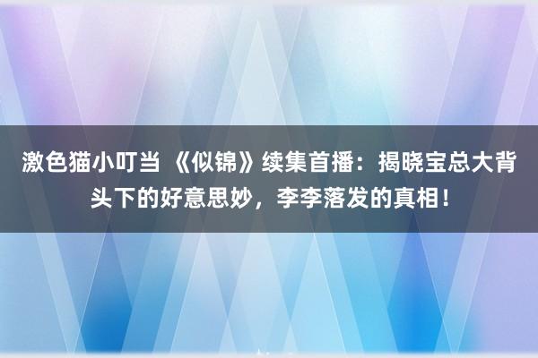 激色猫小叮当 《似锦》续集首播：揭晓宝总大背头下的好意思妙，李李落发的真相！