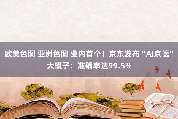 欧美色图 亚洲色图 业内首个！京东发布“AI京医”大模子：准确率达99.5%