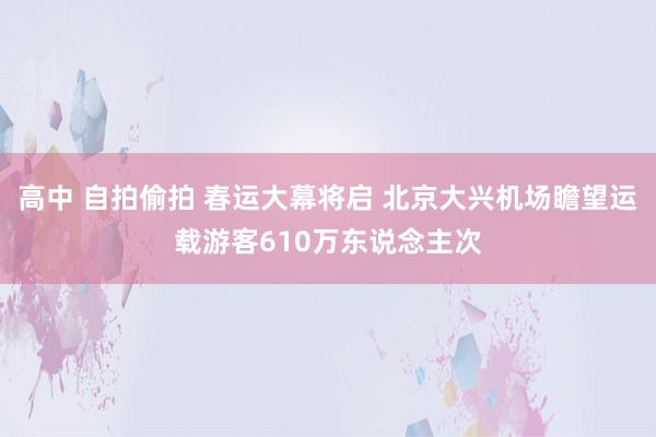 高中 自拍偷拍 春运大幕将启 北京大兴机场瞻望运载游客610万东说念主次