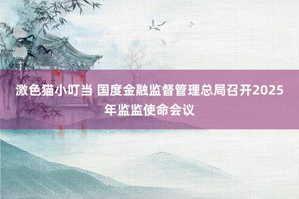 激色猫小叮当 国度金融监督管理总局召开2025年监监使命会议