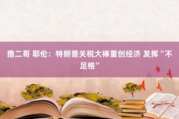 撸二哥 耶伦：特朗普关税大棒重创经济 发挥“不足格”
